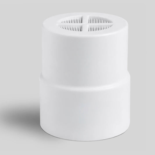 Filtered Showerhead Filter