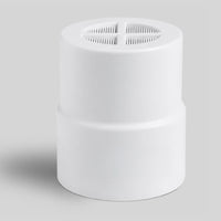 Filtered Showerhead Filter