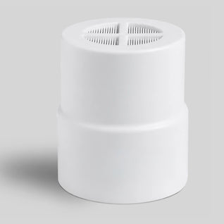 Filtered Showerhead Filter
