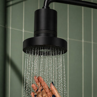 Filtered Showerhead