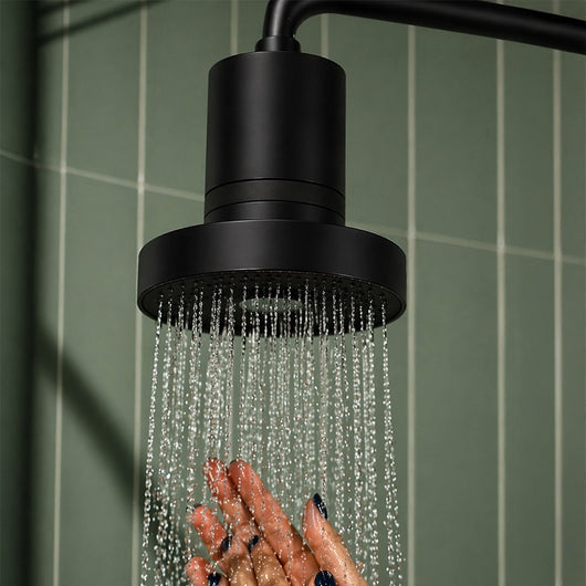 Filtered Showerhead