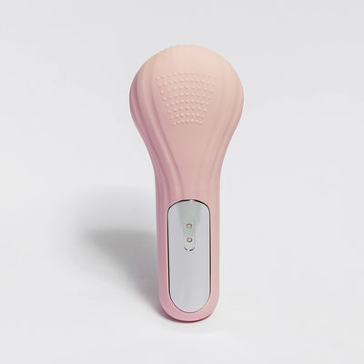 Waterproof Sonic Facial Cleansing Brush